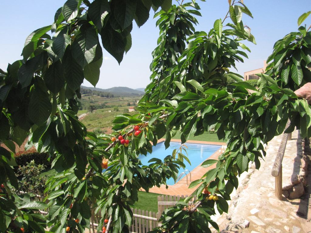 Masia Puigadoll Rodoñá Buitenkant foto